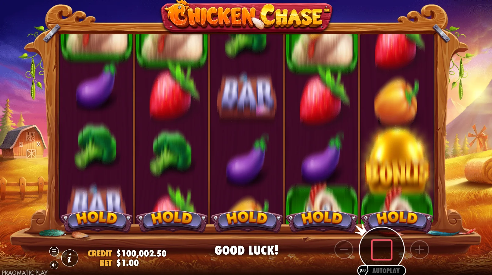 Chicken Chase Demo
